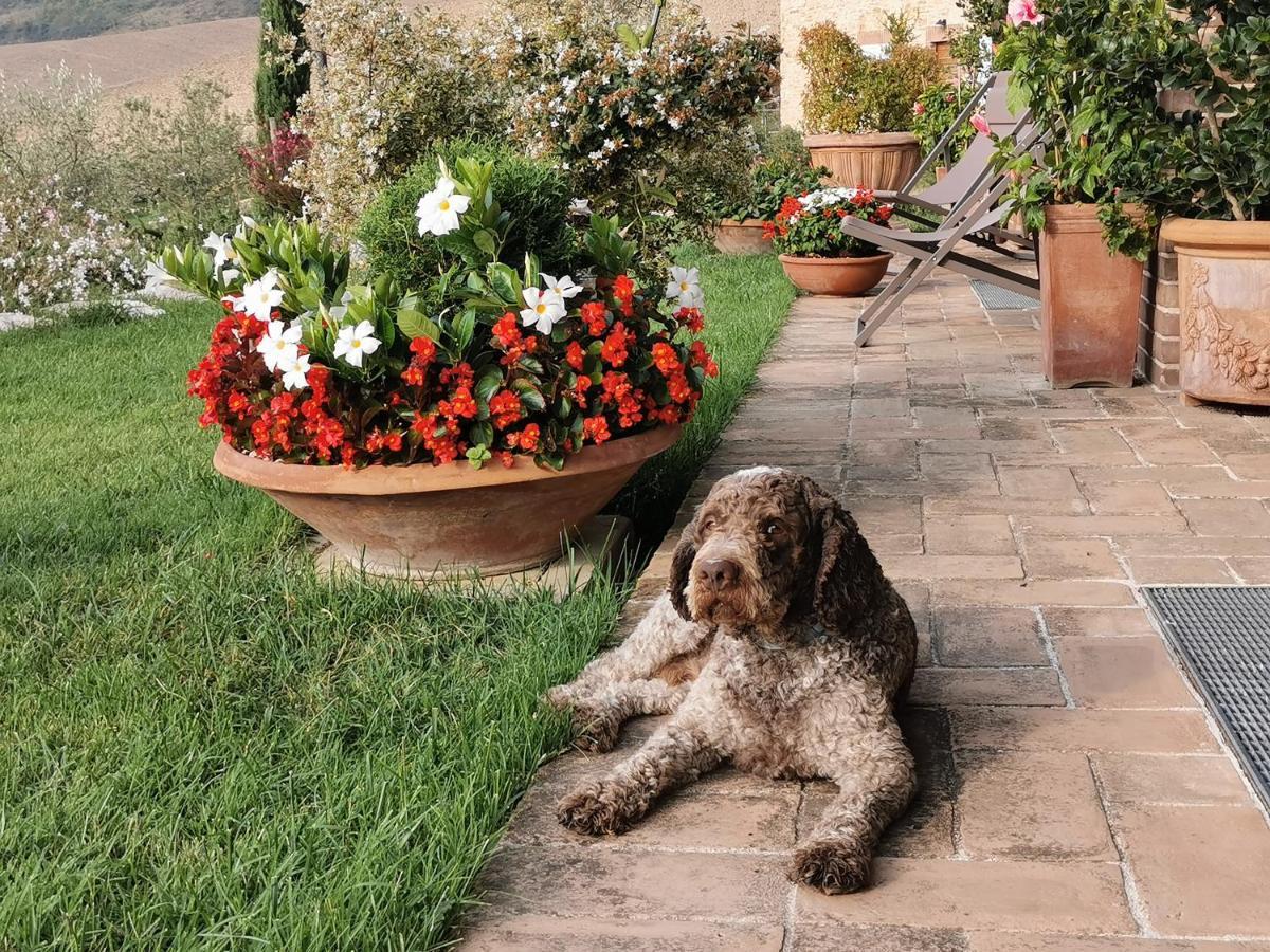 Le Logge Ritrovate Bed & Breakfast Acquasparta Exterior foto